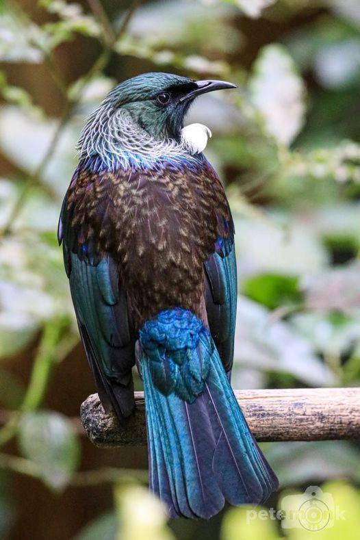 Mike & Jenny'S Kaka Point Accommodation ภายนอก รูปภาพ