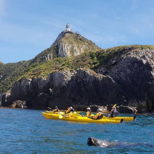 Mike & Jenny'S Kaka Point Accommodation ภายนอก รูปภาพ